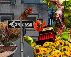 Collage I made from a bunch of photos I took in New York and Costa Rica. Montage